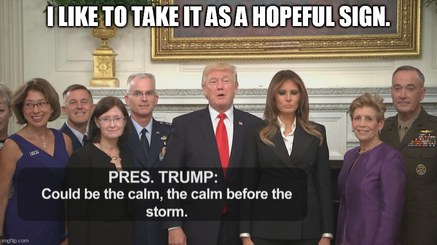 It's calm before the storm | I LIKE TO TAKE IT AS A HOPEFUL SIGN. | image tagged in it's calm before the storm | made w/ Imgflip meme maker