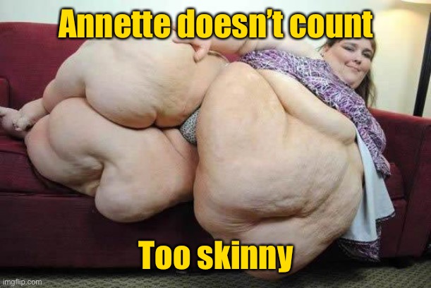 fat girl | Annette doesn’t count Too skinny | image tagged in fat girl | made w/ Imgflip meme maker