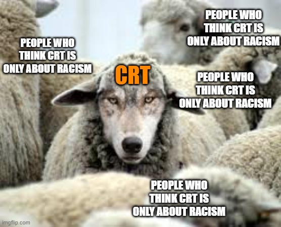 Trans-Sheep | PEOPLE WHO THINK CRT IS ONLY ABOUT RACISM; PEOPLE WHO THINK CRT IS ONLY ABOUT RACISM; PEOPLE WHO THINK CRT IS ONLY ABOUT RACISM; CRT; PEOPLE WHO THINK CRT IS ONLY ABOUT RACISM | image tagged in trans-sheep | made w/ Imgflip meme maker