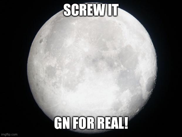 Full Moon | SCREW IT; GN FOR REAL! | image tagged in full moon | made w/ Imgflip meme maker