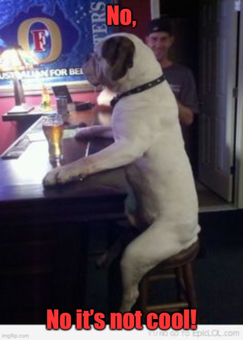 No, No it’s not cool! | made w/ Imgflip meme maker