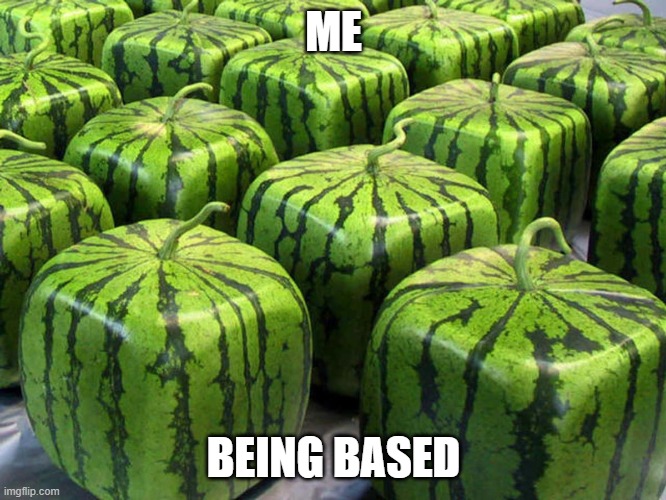 Minecraft Melons | ME; BEING BASED | image tagged in minecraft melons | made w/ Imgflip meme maker