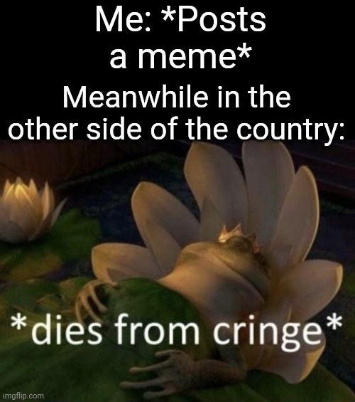 H | Me: *Posts a meme*; Meanwhile in the other side of the country: | image tagged in dies from cringe | made w/ Imgflip meme maker