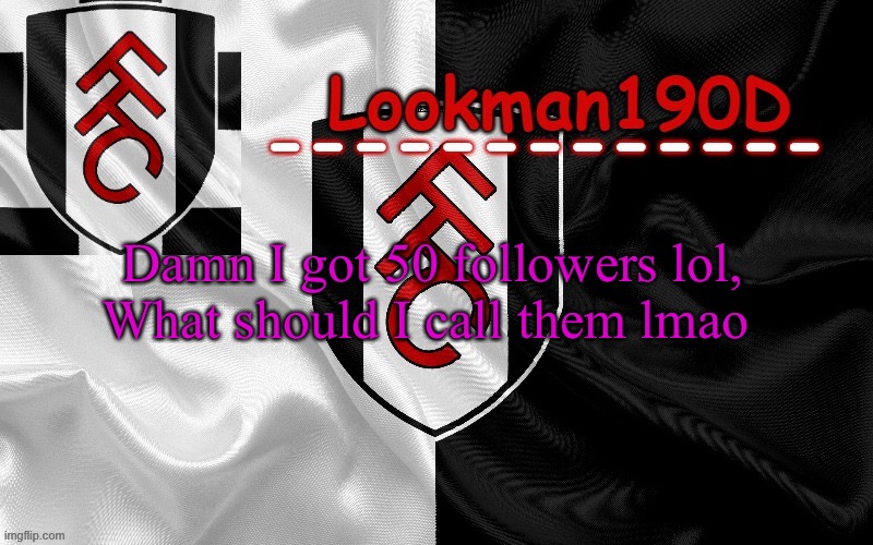 Lookman190D template made by UnoReverse_Official | Damn I got 50 followers lol, What should I call them lmao | image tagged in lookman190d template made by unoreverse_official | made w/ Imgflip meme maker