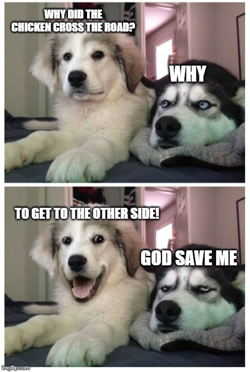 Terrible puns | WHY DID THE CHICKEN CROSS THE ROAD? WHY; TO GET TO THE OTHER SIDE! GOD SAVE ME | image tagged in bad pun dog | made w/ Imgflip meme maker