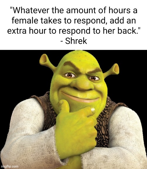 "Whatever the amount of hours a female takes to respond, add an extra hour to respond to her back." - Shrek | image tagged in shrek,shrek for five minutes,shrek cat,shrek good question,shrek sexy face,shrek fiona harold donkey | made w/ Imgflip meme maker