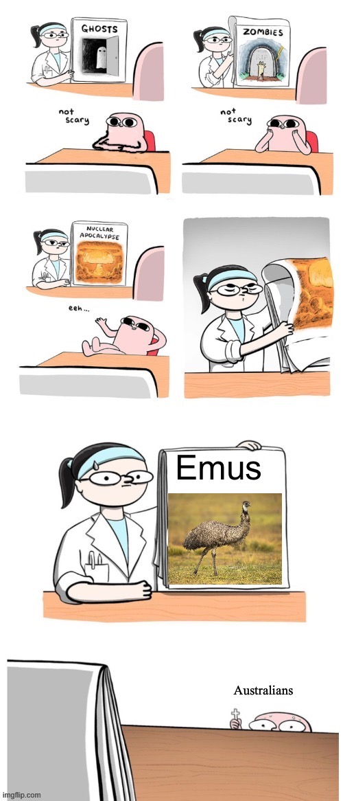Does anyone remember when Australia lost to some Emus lmao | Emus; Australians | image tagged in not scary | made w/ Imgflip meme maker