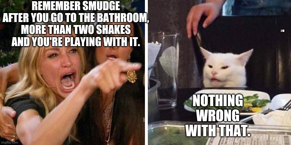 Smudge the cat | REMEMBER SMUDGE AFTER YOU GO TO THE BATHROOM, MORE THAN TWO SHAKES AND YOU'RE PLAYING WITH IT. J M; NOTHING WRONG WITH THAT. | image tagged in smudge the cat | made w/ Imgflip meme maker