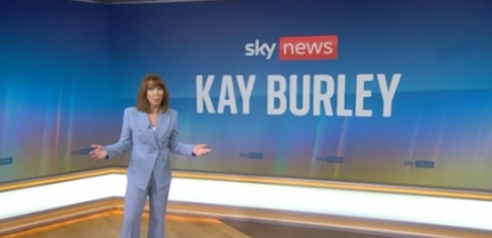 Kay Burley Blank Meme Template