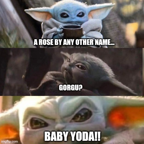 A ROSE BY ANY OTHER NAME... GORGU? BABY YODA!! | made w/ Imgflip meme maker