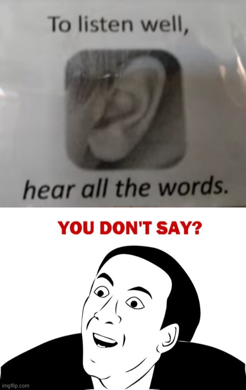 why are deaf ppl still here? [no sarcasm] | image tagged in memes,you don't say,deaf,lol | made w/ Imgflip meme maker