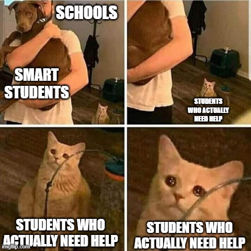 Sad Cat Holding Dog | SCHOOLS; SMART STUDENTS; STUDENTS WHO ACTUALLY NEED HELP; STUDENTS WHO ACTUALLY NEED HELP; STUDENTS WHO ACTUALLY NEED HELP | image tagged in sad cat holding dog,smart kid,memes,school | made w/ Imgflip meme maker