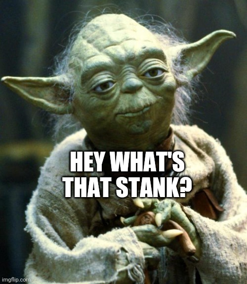 HEY WHAT'S THAT STANK? | image tagged in memes,star wars yoda | made w/ Imgflip meme maker