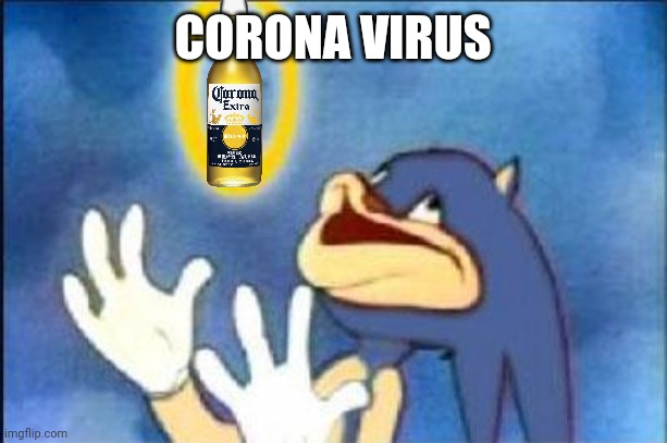 Sonic derp | CORONA VIRUS | image tagged in sonic derp | made w/ Imgflip meme maker