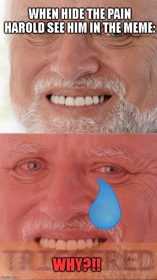 harold look his meme | WHEN HIDE THE PAIN HAROLD SEE HIM IN THE MEME:; WHY?!! | image tagged in hide the pain harold | made w/ Imgflip meme maker