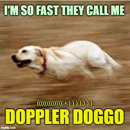 Doppler Doggo | I'M SO FAST THEY CALL ME; DOPPLER DOGGO; ((((((((((((( • ) ) ) ) ) ) ) | image tagged in speedy doggo,speed,doppler effect,dogs,very fast | made w/ Imgflip meme maker