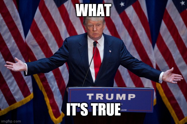 Donald Trump | WHAT IT'S TRUE | image tagged in donald trump | made w/ Imgflip meme maker