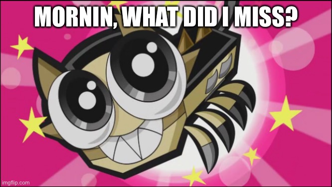 Cute Scorpi | MORNIN, WHAT DID I MISS? | image tagged in cute scorpi | made w/ Imgflip meme maker