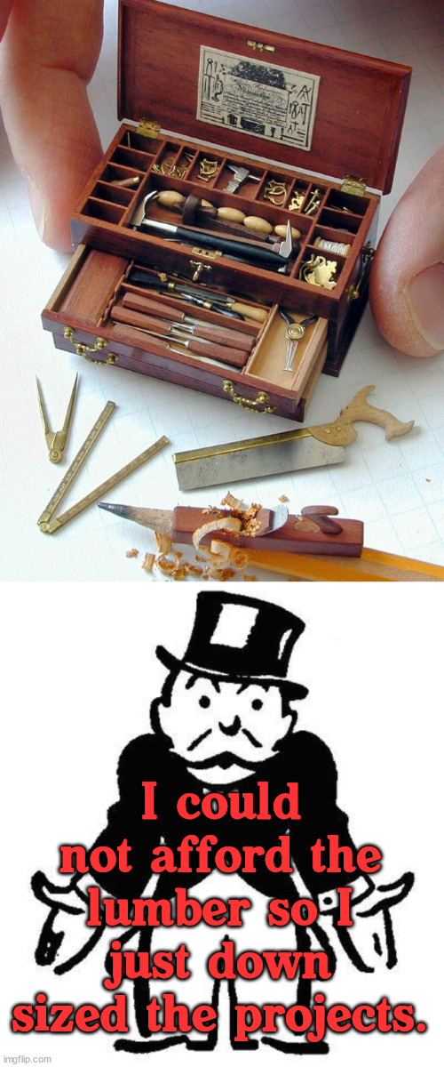 I could not afford the lumber so I just down sized the projects. | image tagged in poor monopoly man,wood | made w/ Imgflip meme maker