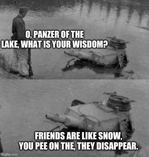 Snow and friends. What a comparison. | O, PANZER OF THE LAKE, WHAT IS YOUR WISDOM? FRIENDS ARE LIKE SNOW, YOU PEE ON THE, THEY DISAPPEAR. | image tagged in panzer of the lake | made w/ Imgflip meme maker