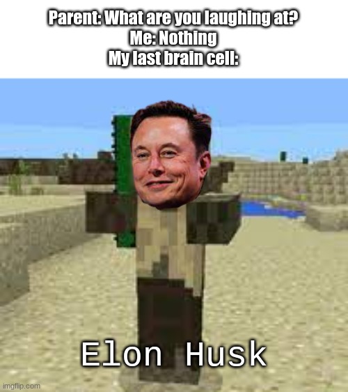 My very last brain cell | Parent: What are you laughing at?
Me: Nothing
My last brain cell:; Elon Husk | image tagged in brain cells,are dying | made w/ Imgflip meme maker