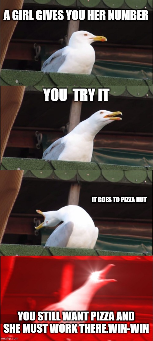 Inhaling Seagull | A GIRL GIVES YOU HER NUMBER; YOU  TRY IT; IT GOES TO PIZZA HUT; YOU STILL WANT PIZZA AND SHE MUST WORK THERE.WIN-WIN | image tagged in memes,inhaling seagull | made w/ Imgflip meme maker