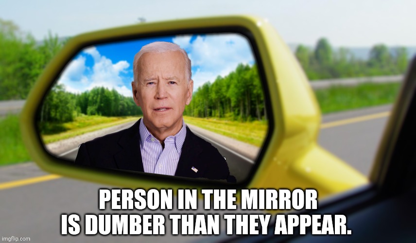 He's a real embarrassment to America. | PERSON IN THE MIRROR IS DUMBER THAN THEY APPEAR. | image tagged in memes | made w/ Imgflip meme maker