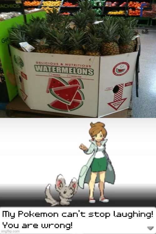 How is this watermelon?! | image tagged in my pokemon can't stop laughing you are wrong,you had one job,funny,memes,how the turntables,fruits | made w/ Imgflip meme maker