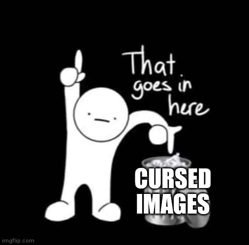 that goes in here | CURSED IMAGES | image tagged in that goes in here | made w/ Imgflip meme maker