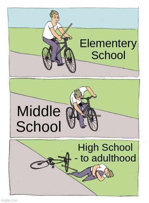 Life | Elementery School; Middle School; High School - to adulthood | image tagged in memes,bike fall | made w/ Imgflip meme maker