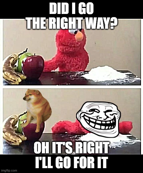 funny elmo | DID I GO THE RIGHT WAY? OH IT'S RIGHT I'LL GO FOR IT | image tagged in elmo | made w/ Imgflip meme maker
