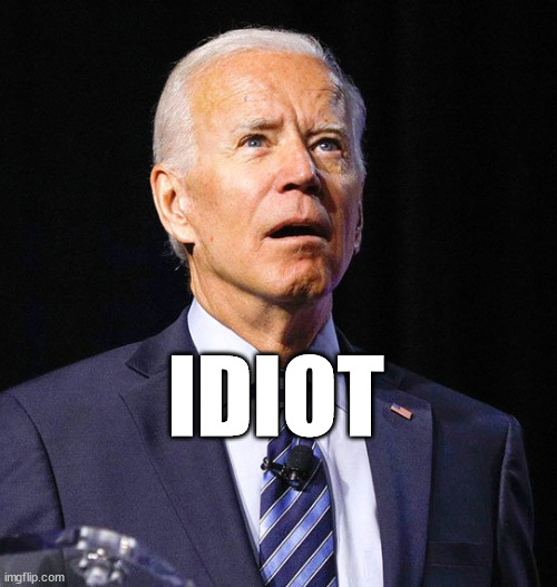 Joe Biden | IDIOT | image tagged in joe biden | made w/ Imgflip meme maker