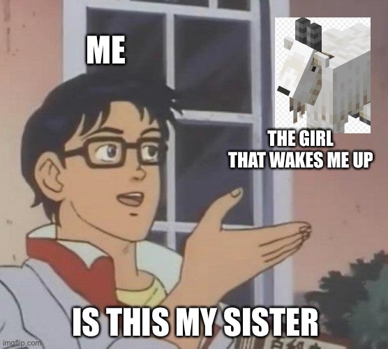 Is This A Pigeon Meme | ME; THE GIRL THAT WAKES ME UP; IS THIS MY SISTER | image tagged in memes,is this a pigeon | made w/ Imgflip meme maker