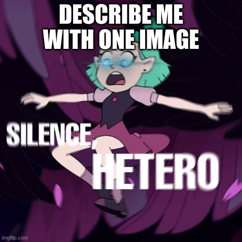 DESCRIBE ME WITH ONE IMAGE | image tagged in amity silence hetero | made w/ Imgflip meme maker