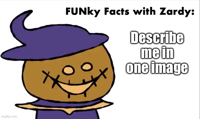 FUNky Facts with Zardy | Describe me in one image | image tagged in funky facts with zardy | made w/ Imgflip meme maker