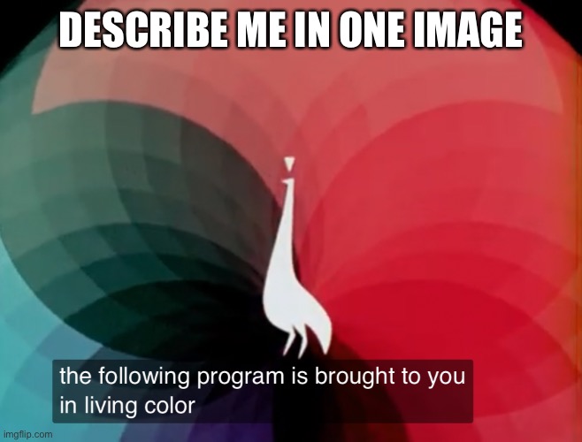 The following program is brought to you in living color | DESCRIBE ME IN ONE IMAGE | image tagged in the following program is brought to you in living color | made w/ Imgflip meme maker