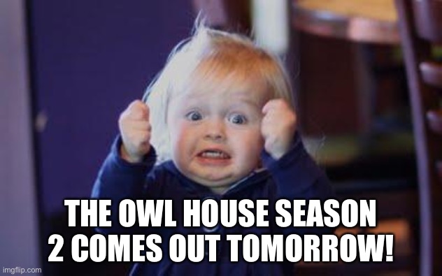 excited kid | THE OWL HOUSE SEASON 2 COMES OUT TOMORROW! | image tagged in excited kid | made w/ Imgflip meme maker