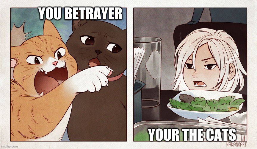 Cat yelling at girl | YOU BETRAYER; YOUR THE CATS | image tagged in cat yelling at girl | made w/ Imgflip meme maker