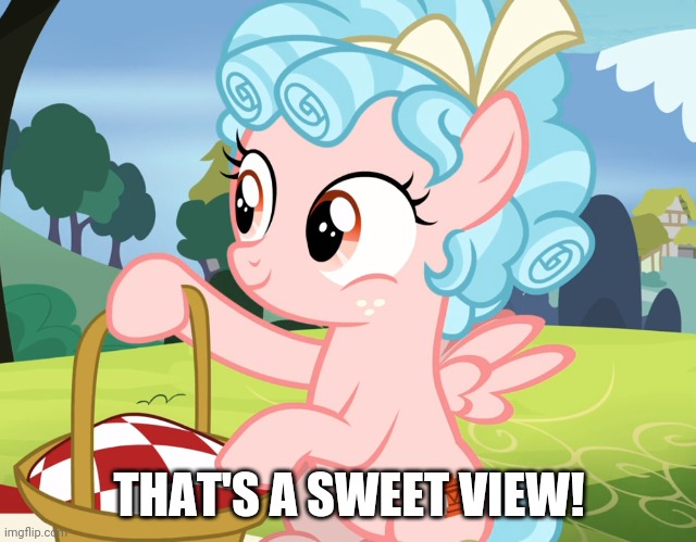 THAT'S A SWEET VIEW! | made w/ Imgflip meme maker