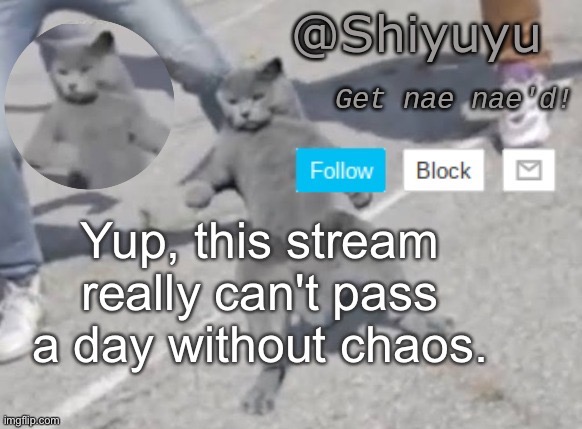 This stream is calmer now... Ig. | made w/ Imgflip meme maker
