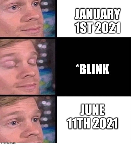 Its already been half a year | JANUARY 1ST 2021; *BLINK; JUNE 11TH 2021 | image tagged in blinking guy vertical blank,wot,its time | made w/ Imgflip meme maker