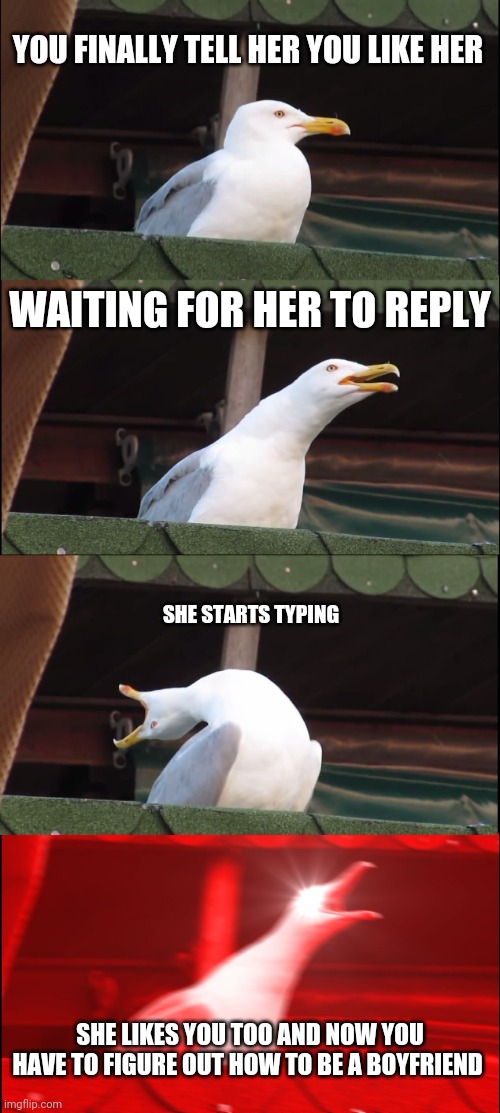 An unexpected result | YOU FINALLY TELL HER YOU LIKE HER; WAITING FOR HER TO REPLY; SHE STARTS TYPING; SHE LIKES YOU TOO AND NOW YOU HAVE TO FIGURE OUT HOW TO BE A BOYFRIEND | image tagged in memes,inhaling seagull | made w/ Imgflip meme maker