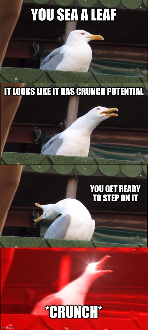 Inhaling Seagull | YOU SEA A LEAF; IT LOOKS LIKE IT HAS CRUNCH POTENTIAL; YOU GET READY TO STEP ON IT; *CRUNCH* | image tagged in memes,inhaling seagull | made w/ Imgflip meme maker