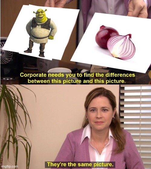 They have layers! | image tagged in memes,they're the same picture,funny,shrek,meme,fun | made w/ Imgflip meme maker