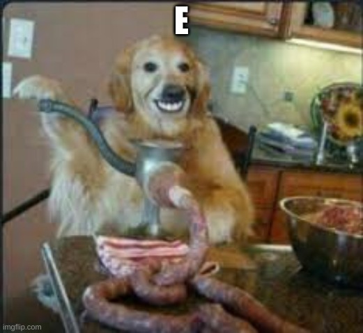 MEAT DOG | E | image tagged in meat dog,funny,cursed image,memes | made w/ Imgflip meme maker