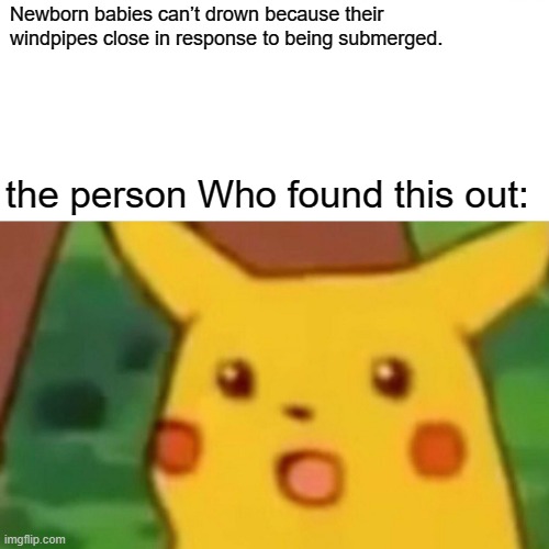 Surprised Pikachu Meme | Newborn babies can’t drown because their windpipes close in response to being submerged. the person Who found this out: | image tagged in memes,surprised pikachu | made w/ Imgflip meme maker