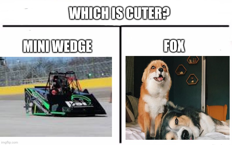 Which is cuter | WHICH IS CUTER? FOX; MINI WEDGE | image tagged in memes,who would win | made w/ Imgflip meme maker