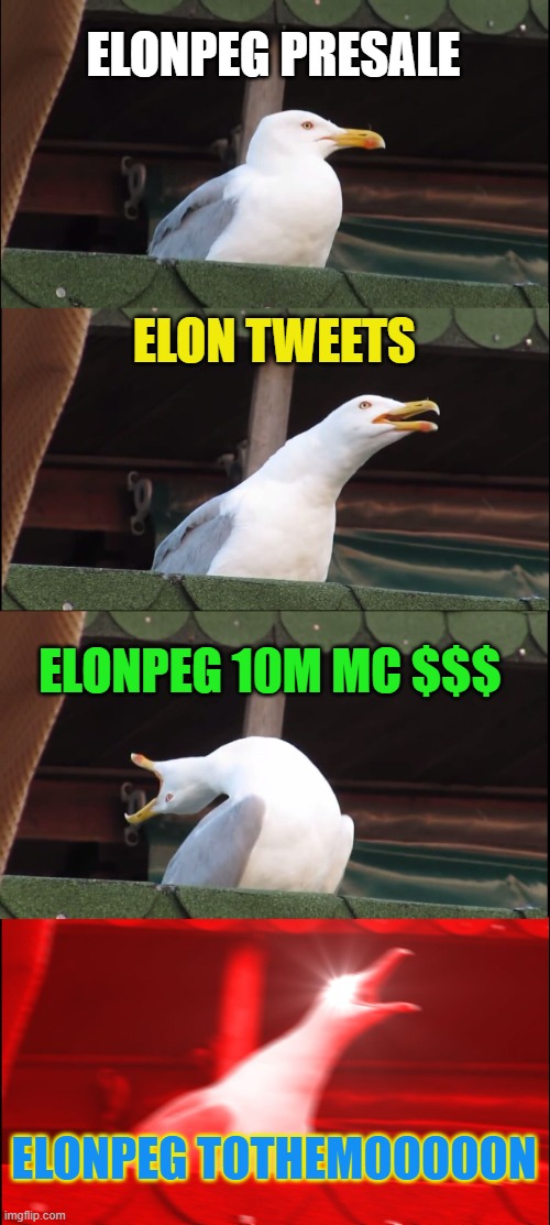 ELONPEG | ELONPEG PRESALE; ELON TWEETS; ELONPEG 10M MC $$$; ELONPEG TOTHEMOOOOON | image tagged in memes,inhaling seagull,elon musk | made w/ Imgflip meme maker