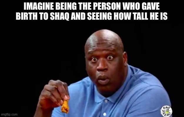 surprised shaq | IMAGINE BEING THE PERSON WHO GAVE BIRTH TO SHAQ AND SEEING HOW TALL HE IS | image tagged in surprised shaq | made w/ Imgflip meme maker