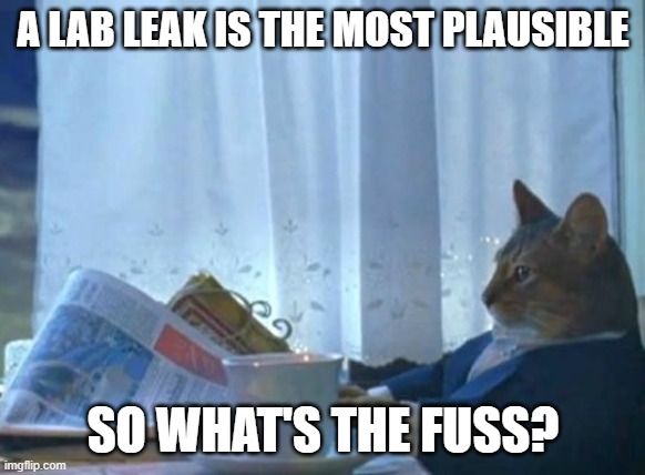 Cat newspaper | A LAB LEAK IS THE MOST PLAUSIBLE; SO WHAT'S THE FUSS? | image tagged in cat newspaper | made w/ Imgflip meme maker